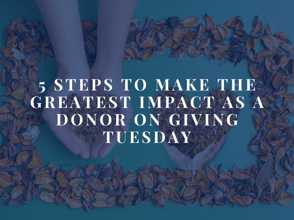 5 ways to make an impact on Giving Tuesday-2