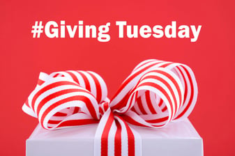 #GivingTuesday Carnegie Investment Counsel
