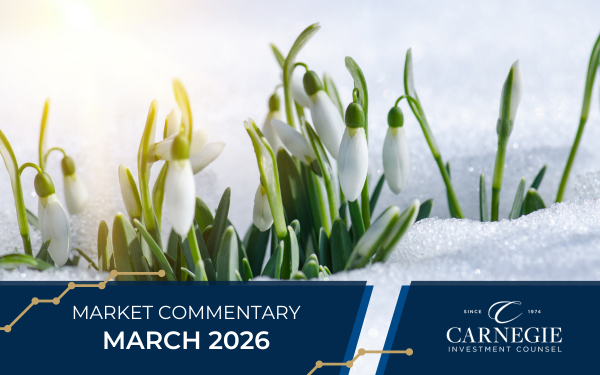 Cash on the Sidelines: A $20 Trillion Backdrop&nbsp;