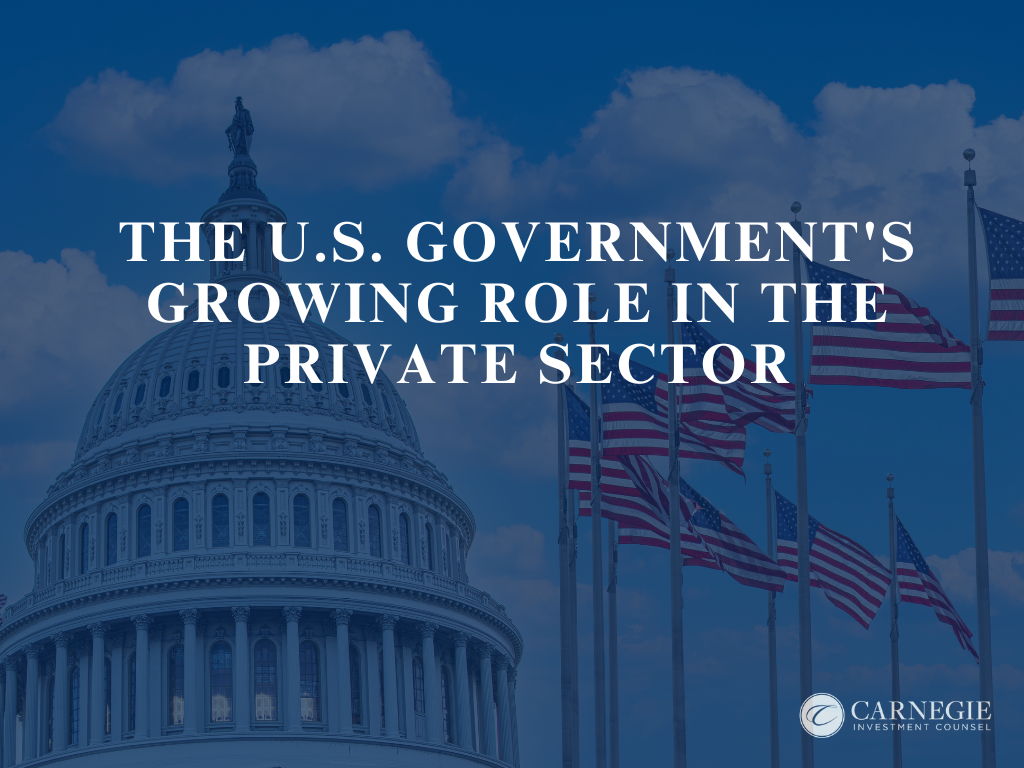 The U.S. Governments Growing Role in the Private Sector